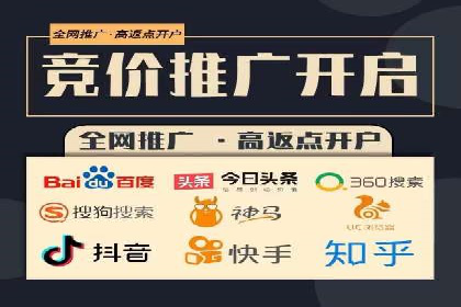 竞价排名案例：优化广告预算分配